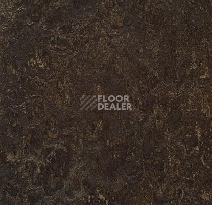 Линолеум Forbo Marmoleum Marbled Real 3236 Dark Bistre фото 1 | FLOORDEALER